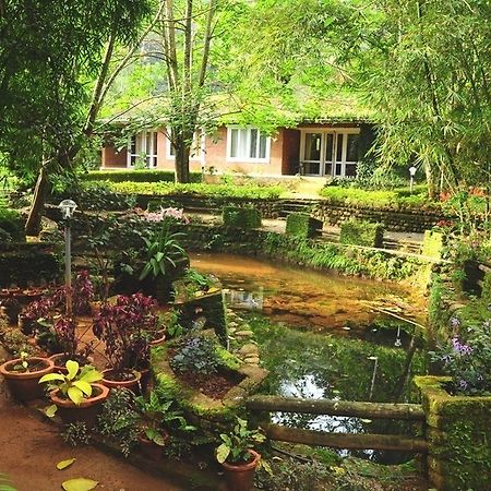 Falling Waters Munnar Zewnętrze zdjęcie