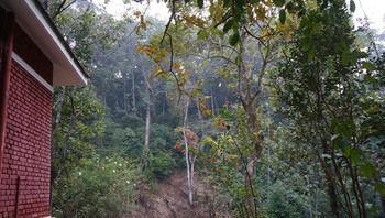 Falling Waters Munnar Zewnętrze zdjęcie