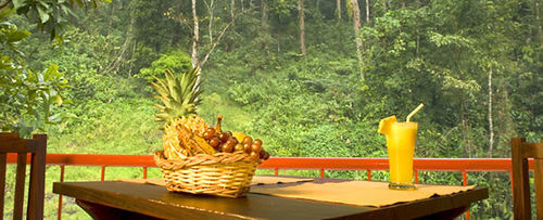 Falling Waters Munnar Zewnętrze zdjęcie